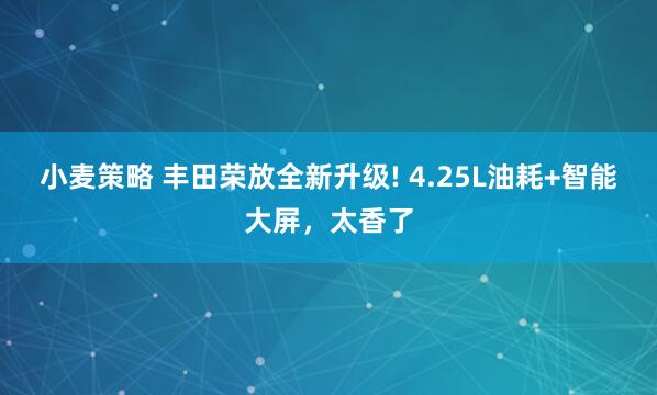 小麦策略 丰田荣放全新升级! 4.25L油耗+智能大屏，太香了