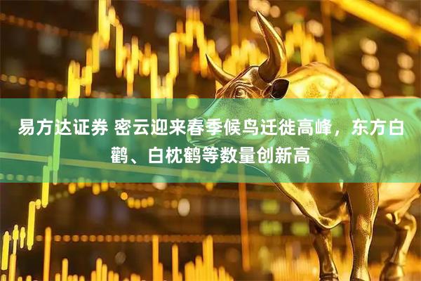 易方达证券 密云迎来春季候鸟迁徙高峰，东方白鹳、白枕鹤等数量创新高