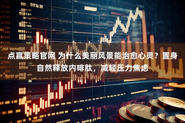 点赢策略官网 为什么美丽风景能治愈心灵？置身自然释放内啡肽，减轻压力焦虑
