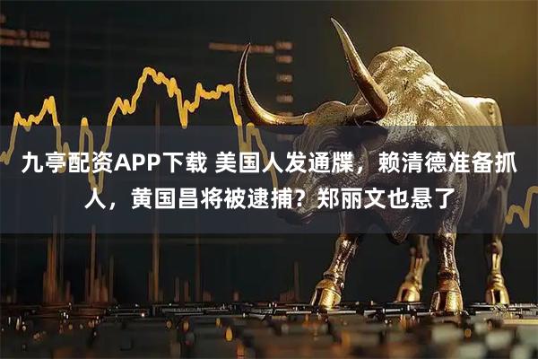 九亭配资APP下载 美国人发通牒，赖清德准备抓人，黄国昌将被逮捕？郑丽文也悬了